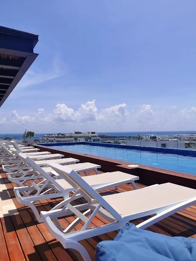 Beautiful Apartment 10 Meters From The Fifth Av contacts